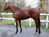 ����å��ǳ��������ɽ�����ޤ�