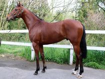 ����å��ǳ��������ɽ�����ޤ�