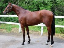 ����å��ǳ��������ɽ�����ޤ�