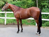 ����å��ǳ��������ɽ�����ޤ�