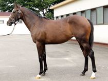 ����å��ǳ��������ɽ�����ޤ�