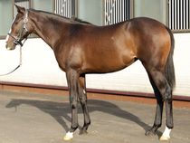 ����å��ǳ��������ɽ�����ޤ�