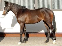 ����å��ǳ��������ɽ�����ޤ�