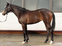 ����å��ǳ��������ɽ�����ޤ�