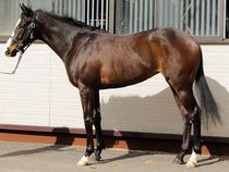 ����å��ǳ��������ɽ�����ޤ�