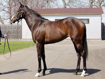 ����å��ǳ��������ɽ�����ޤ�