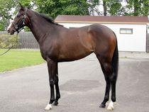 ����å��ǳ��������ɽ�����ޤ�