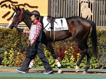 ����å��ǳ��������ɽ�����ޤ�