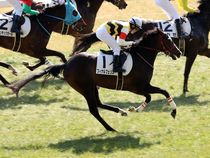 ����å��ǳ��������ɽ�����ޤ�