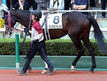 ����å��ǳ��������ɽ�����ޤ�