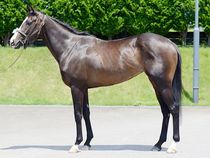 ����å��ǳ��������ɽ�����ޤ�