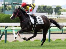 ����å��ǳ��������ɽ�����ޤ�