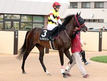 ����å��ǳ��������ɽ�����ޤ�