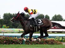 ����å��ǳ��������ɽ�����ޤ�