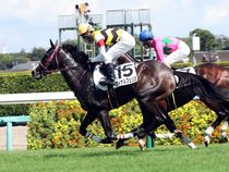 ����å��ǳ��������ɽ�����ޤ�