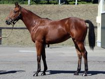 ����å��ǳ��������ɽ�����ޤ�