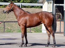 ����å��ǳ��������ɽ�����ޤ�