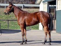 ����å��ǳ��������ɽ�����ޤ�