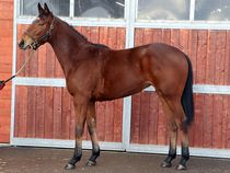 ����å��ǳ��������ɽ�����ޤ�