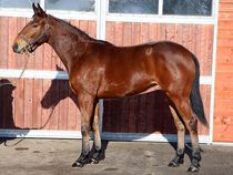 ����å��ǳ��������ɽ�����ޤ�