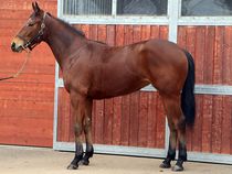 ����å��ǳ��������ɽ�����ޤ�