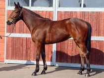 ����å��ǳ��������ɽ�����ޤ�