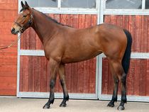 ����å��ǳ��������ɽ�����ޤ�