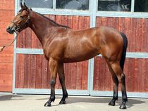 ����å��ǳ��������ɽ�����ޤ�