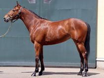 ����å��ǳ��������ɽ�����ޤ�