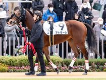 ����å��ǳ��������ɽ�����ޤ�