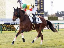 ����å��ǳ��������ɽ�����ޤ�