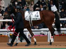 ����å��ǳ��������ɽ�����ޤ�