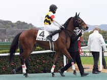 ����å��ǳ��������ɽ�����ޤ�