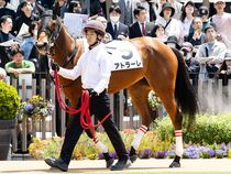 ����å��ǳ��������ɽ�����ޤ�