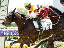 ����å��ǳ��������ɽ�����ޤ�