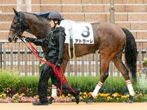 ����å��ǳ��������ɽ�����ޤ�