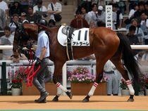 ����å��ǳ��������ɽ�����ޤ�