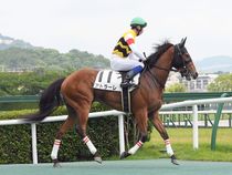 ����å��ǳ��������ɽ�����ޤ�