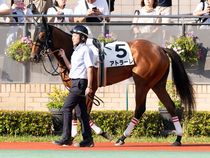 ����å��ǳ��������ɽ�����ޤ�