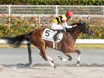 ����å��ǳ��������ɽ�����ޤ�