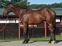 ����å��ǳ��������ɽ�����ޤ�