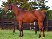 ����å��ǳ��������ɽ�����ޤ�