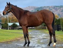 ����å��ǳ��������ɽ�����ޤ�