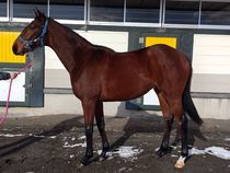 ����å��ǳ��������ɽ�����ޤ�