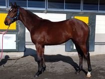 ����å��ǳ��������ɽ�����ޤ�