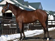 ����å��ǳ��������ɽ�����ޤ�