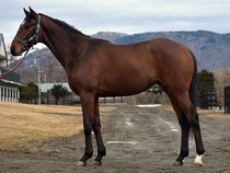 ����å��ǳ��������ɽ�����ޤ�