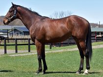 ����å��ǳ��������ɽ�����ޤ�