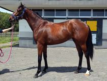 ����å��ǳ��������ɽ�����ޤ�