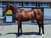 ����å��ǳ��������ɽ�����ޤ�